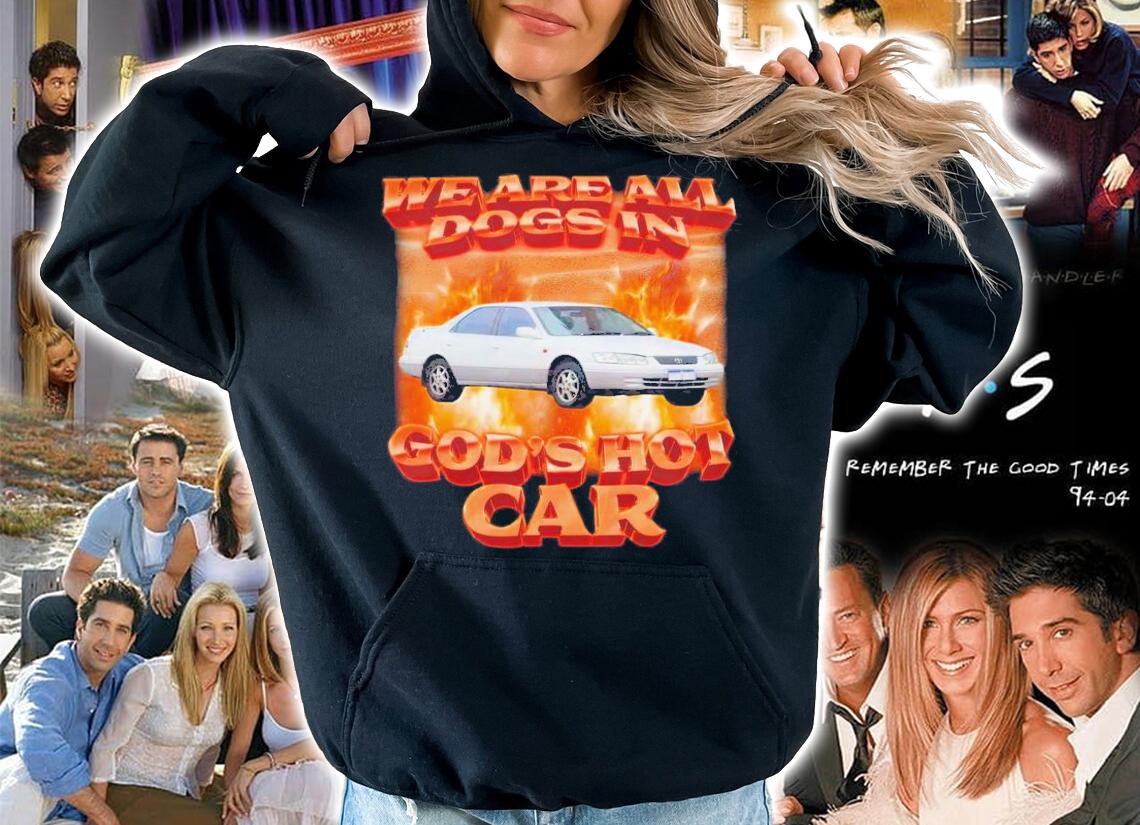 Swag Stimulus We Are All Dogs In God's Hot Car T-Shirt t-shirt