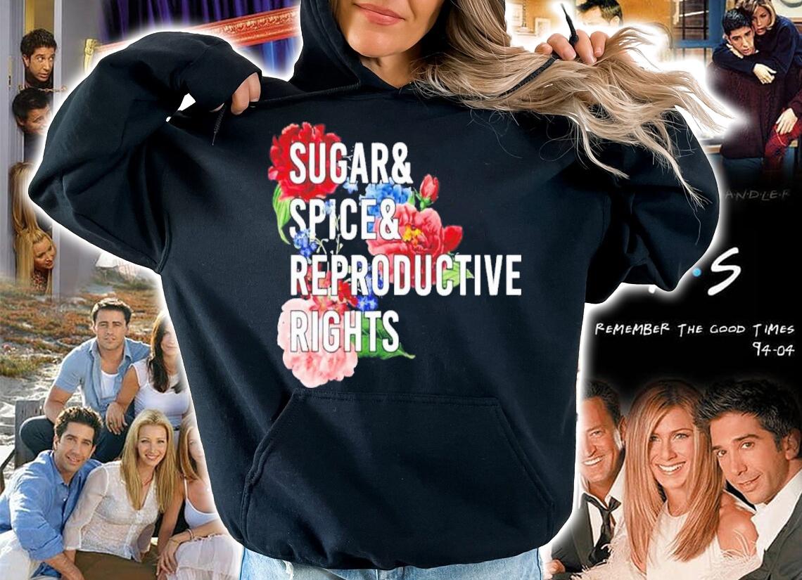 Sugar And Spice And Reproductive Rights Pro Choice Feminist Women Rights Shirt t-shirt