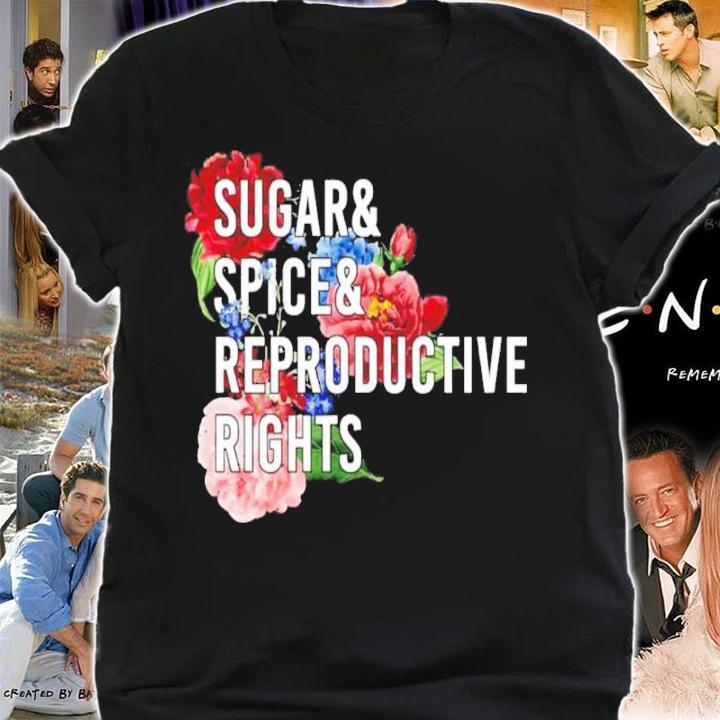 Sugar And Spice And Reproductive Rights Pro Choice Feminist Women Rights Shirt t-shirt