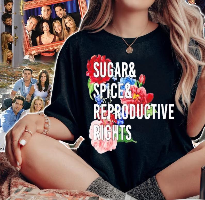 Sugar And Spice And Reproductive Rights Pro Choice Feminist Women Rights Shirt t-shirt