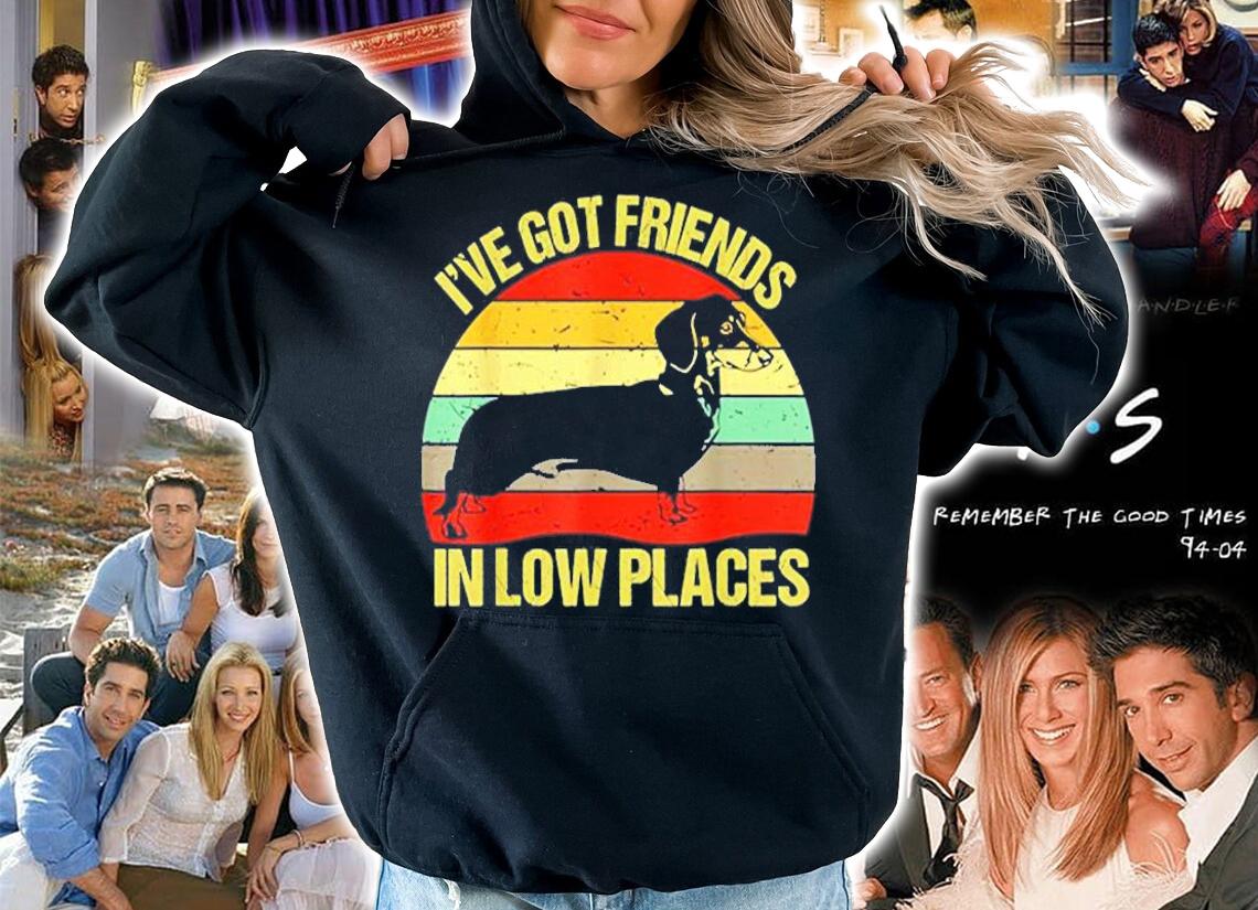 Dachshund Ive Got Friends In Low Places Vintage T-Shirt hoodie