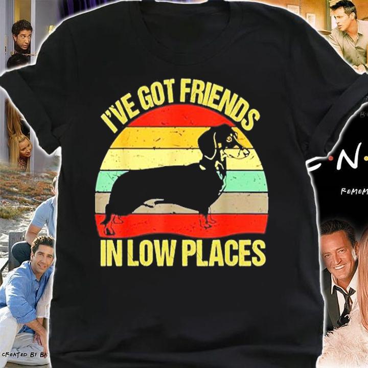 Dachshund Ive Got Friends In Low Places Vintage T-Shirt shirt