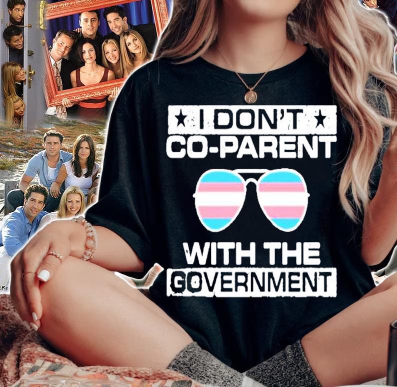We Are The Union I Don't Co-Parent With The Government Shirt woman shirt
